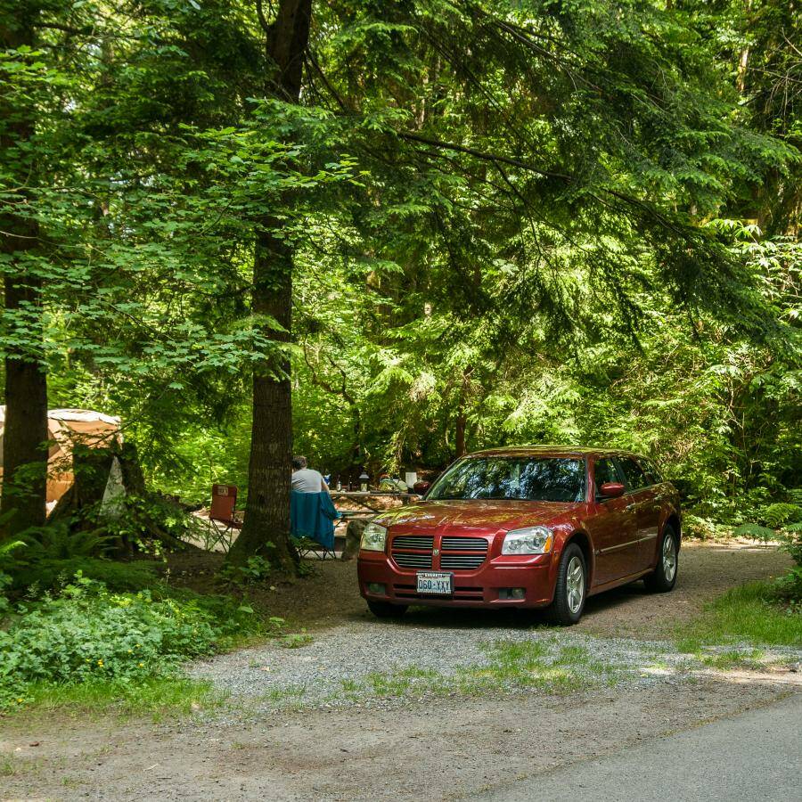 Photo courtesy Washington State Parks 
Kanaskat-Palmer State Park.