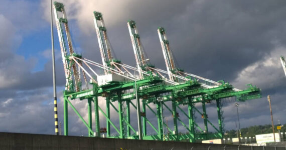 Cranes at the Port of Tacoma. File photo