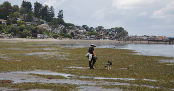 Dash Point State Park on June 16, 2022. File photo