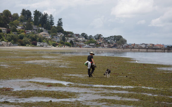 Dash Point State Park on June 16, 2022. File photo