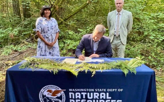 Washington Public Lands Commissioner Dave Upthegrove signs a directive ordering the conservation of about 77,000 acres of older forests on state logging lands, on Aug. 26, 2025, at the High Point Trailhead on Tiger Mountain. Behind him are Washington Conservation Action CEO Alyssa Macy, left, and Thurston County Commissioner Tye Menser, right. (Photo by Emily Fitzgerald/Washington State Standard)