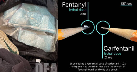 Photo from the seizure and a photo showing carfentanil’s lethality. Courtesy photos