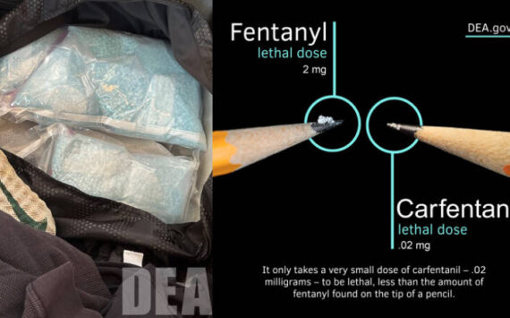 Photo from the seizure and a photo showing carfentanil’s lethality. Courtesy photos