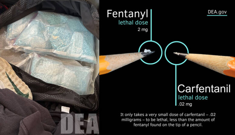 Photo from the seizure and a photo showing carfentanil’s lethality. Courtesy photos