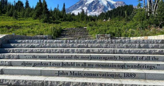 Although Mount Rainier National Park is no longer requiring reservations to visit Paradise and Sunrise, it announced that the National Park Service will continue monitoring congestion and parking conditions. Photo courtesy Visit Rainier