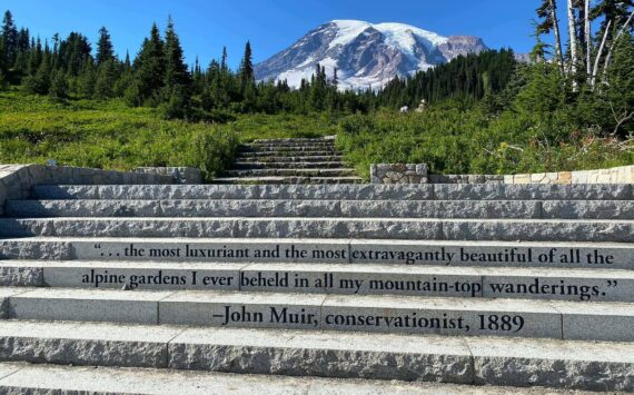 Although Mount Rainier National Park is no longer requiring reservations to visit Paradise and Sunrise, it announced that the National Park Service will continue monitoring congestion and parking conditions. Photo courtesy Visit Rainier