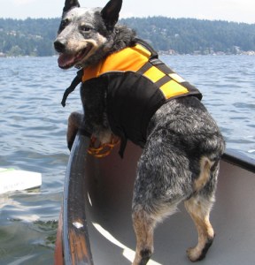 (PHOTO COURTESY PIERCE COUNTY)