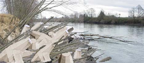 Pierce County Public Works and Utilities is set to begin 30 days of construction on a Puyallup River levee stabilization project on July 27. The project will reinforce the levee for better flood protection using an innovative, fish-friendly shoreline stabilization technique. When the project is completed, a matrix of large concrete "dolosse" and logs will trap sediment and counter the erosion that threatens the levee, as well as provide excellent fish habitat and a good place for fishermen to find holding fish. (CONCEPTUAL RENDERING BY ENTRIX)