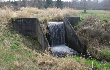 (PHOTO COURTESY PIERCE COUNTY)