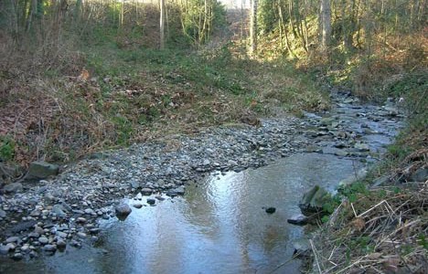 (PHOTOS COURTESY DAN FEAR / FIRST CREEK WATERSHED VOLUNTEERS)