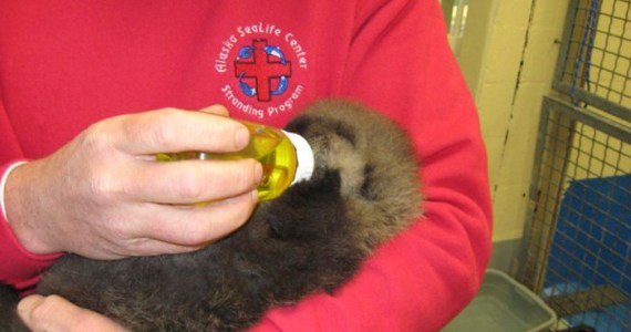 (PHOTO COURTESY POINT DEFIANCE ZOO AND AQUARIUM)