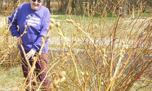 (PHOTO COURTESY METRO PARKS TACOMA)