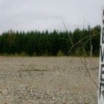 SCENES FROM CASCADIA: The failed vision of one developer to build the largest master-planned community in Pierce County. (PHOTO BY TODD MATTHEWS)