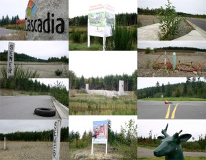 (PHOTOS BY TODD MATTHEWS)