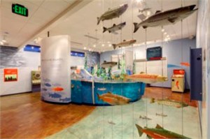 Tacoma Power's Cowlitz Salmon Hatchery Visitor Center. (PHOTO COURTESY TACOMA POWER)