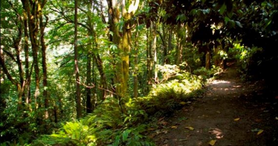 Tacoma conservation corridor. (IMAGE COURTESY CITY OF TACOMA)