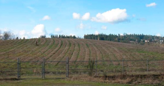 The former B&L Woodwaste site in Pierce County. (PHOTO COURTESY WASHINGTON STATE DEPARTMENT OF ECOLOGY)