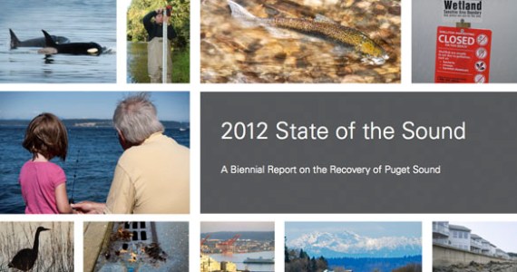 Report mixed on health of Puget Sound