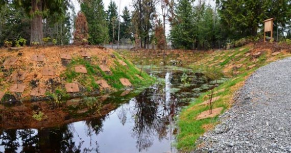 Pierce County recently completed work on a stormwater pond in the Fir Ridge neighborhood south of Bonney Lake. (PHOTO COURTESY PIERCE COUNTY)