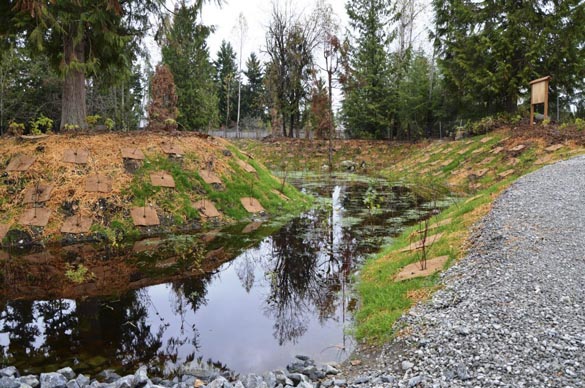 Pierce County recently completed work on a stormwater pond in the Fir Ridge neighborhood south of Bonney Lake. (PHOTO COURTESY PIERCE COUNTY)