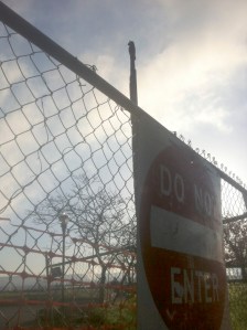 City engineers have raised safety concerns over the structural integrity of an historic totem pole in downtown Tacoma's Fireman's Park. As a result, Tacoma's public works director ordered the totem pole be stabilized immediately and the surrounding park area to be fenced off. (PHOTO BY TODD MATTHEWS)