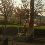 City engineers have raised safety concerns over the structural integrity of an historic totem pole in downtown Tacoma's Fireman's Park. As a result, Tacoma's public works director ordered the totem pole be stabilized immediately and the surrounding park area to be fenced off. (PHOTO BY TODD MATTHEWS)