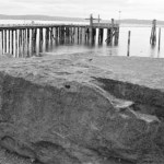 Tacoma's Old Town Dock will officially reopen to the public Wednesday morning following a nearly-five-year closure and $2 million renovation. (FILE PHOTO BY TODD MATTHEWS)