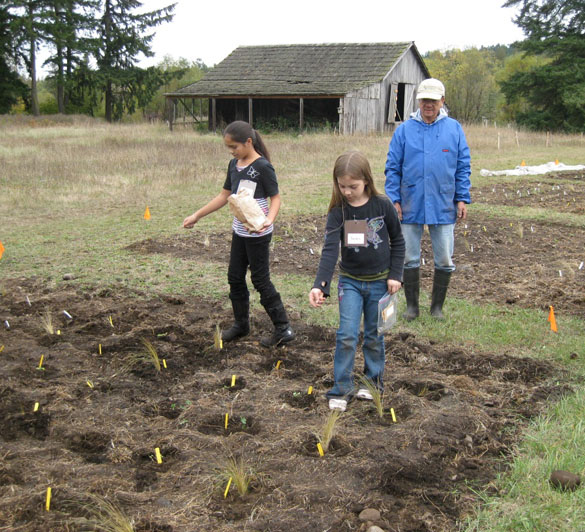 A historic, circa-1910 barn located on the 98-acre Morse Wildlife Preserve in Pierce County is the focus of an online fund-raising campaign led by Forterra, a local land conservation organization. The barn, which was closed two years ago due to safety concerns, has served as shelter from the weather for visiting school children, a location for storytelling and educational displays, and storage for tools and materials used by volunteers for restoration projects. The barn is listed on the Washington State Heritage Barn Register and the Pierce County Historic Landmarks Register. (PHOTO COURTESY FORTERRA)