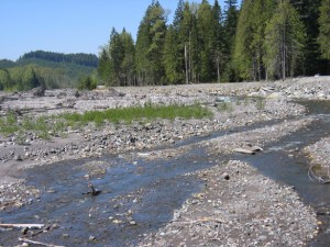 Puyallup River at South Fork Road. (PHOTO COURTESY PIERCE COUNTY)