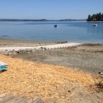 Pierce County Public Works crews are nearly finished rehabilitating the A Street KPS boat launch in the community of Home near Carr Inlet. The boat launch was closed on July 15 to allow crews to replace the existing ramp structure with concrete panels purchased from the Washington Department of Fish and Wildlife. According to Pierce County officials, work should be completed this week, with the exception of some paving. (PHOTO COURTESY PIERCE COUNTY)