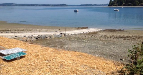 Pierce County Public Works crews are nearly finished rehabilitating the A Street KPS boat launch in the community of Home near Carr Inlet. The boat launch was closed on July 15 to allow crews to replace the existing ramp structure with concrete panels purchased from the Washington Department of Fish and Wildlife. According to Pierce County officials, work should be completed this week, with the exception of some paving. (PHOTO COURTESY PIERCE COUNTY)