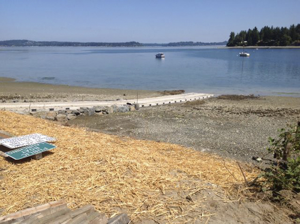 Pierce County Public Works crews are nearly finished rehabilitating the A Street KPS boat launch in the community of Home near Carr Inlet. The boat launch was closed on July 15 to allow crews to replace the existing ramp structure with concrete panels purchased from the Washington Department of Fish and Wildlife. According to Pierce County officials, work should be completed this week, with the exception of some paving. (PHOTO COURTESY PIERCE COUNTY)