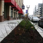 Celebrate downtown Tacoma's revamped Pac Ave