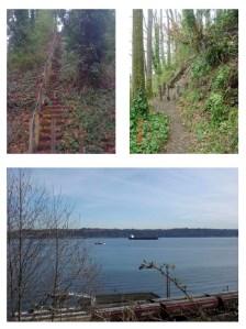 Community forum will explore Tacoma's Bayside Slope management