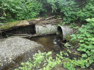 Pierce County is exploring a project that aims to provide water quality and fish passage improvements to the lower portion of Purdy Creek, which runs under 144th Street NW and near the Purdy Chevron gas station. (PHOTO COURTESY PIERCE COUNTY)