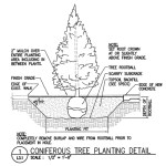 The City of Tacoma is accepting bids for a project that would bring a range of improvements to Ray C. Roberts (Tom Schuster) Memorial Park on Tacoma's East Side. (IMAGE COURTESY CITY OF TACOMA)