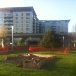 Site preparations are under way to move Sun King out of storage and into a park near Thea Foss Waterway. (PHOTO BY TODD MATTHEWS)