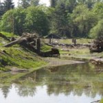 Pierce County to resume Puyallup River flood mitigation project