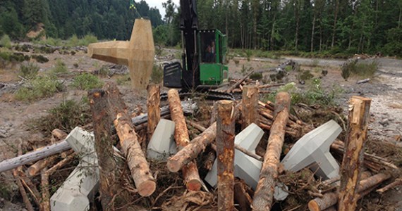 Pierce County Public Works and Utilities recently designed and built 700 feet of riverbank protection and six engineered log jams on the Puyallup River next to Orville Road between Electron Road and 249th Street East. The project, which was completed last fall, allows the river to meander in the channel but protects the road from the river during high water events. The engineered log jams were built with large logs and eight-ton concrete structures that resemble children's jacks. The jacks, called dolos, keep the logs in place which will then catch additional trees and vegetation flowing down the river. (PHOTO COURTESY PIERCE COUNTY)