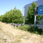 The City of Tacoma plans to develop a segment of the Prairie Line Trail in downtown Tacoma to connect Pacific Avenue to the waterfront. When completed, it will connect to the University of Washington Tacoma campus trail segment, currently under construction. (PHOTO BY TODD MATTHEWS)
