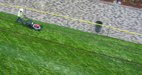 Contractors on Tuesday were putting the finishing touches on a segment of the Prairie Line Trail that runs through the University of Washington Tacoma (UWT) campus. City of Tacoma and UWT officials will celebrate the grand opening of the first phase of the new urban trail during a public ceremony on Thurs., Sept. 25, at 5 p.m. (PHOTO BY TODD MATTHEWS)