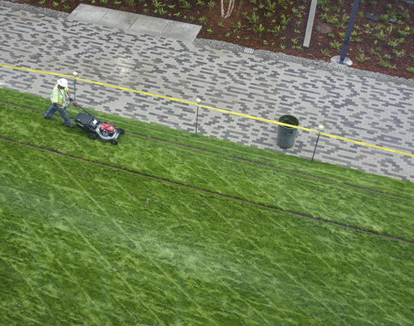 Contractors on Tuesday were putting the finishing touches on a segment of the Prairie Line Trail that runs through the University of Washington Tacoma (UWT) campus. City of Tacoma and UWT officials will celebrate the grand opening of the first phase of the new urban trail during a public ceremony on Thurs., Sept. 25, at 5 p.m. (PHOTO BY TODD MATTHEWS)