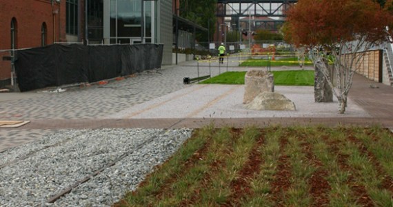 Contractors on Tuesday were putting the finishing touches on a segment of the Prairie Line Trail that runs through the University of Washington Tacoma (UWT) campus. City of Tacoma and UWT officials will celebrate the grand opening of the first phase of the new urban trail during a public ceremony on Thurs., Sept. 25, at 5 p.m. (PHOTO BY TODD MATTHEWS)