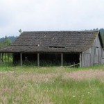Forterra NW was awarded a grant from Pierce County in 2012 to repair the roof on a historic barn that was built circa-1910 on the Morse Wildlife Preserve in Graham. (PHOTO COURTESY FORTERRA NW)