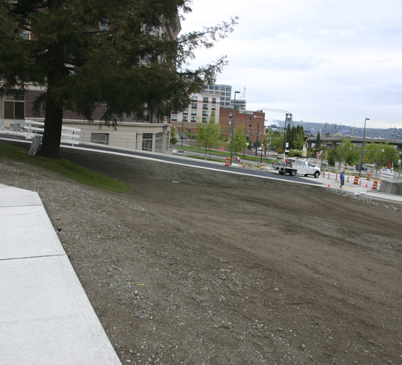 A sloped, hillside greenspace is part of a major project to realign South 17th Street in downtown Tacoma near the University of Washington Tacoma. (PHOTO BY TODD MATTHEWS)