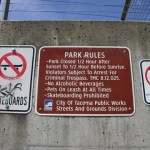 The City of Tacoma could temporarily lift a ban on skateboarding in Tollefson Plaza as part of a three-month pilot program. (PHOTO BY TODD MATTHEWS)