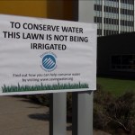 Citing drought conditions, Pierce County officials are not irrigating the lawn at the County-City Building in order to conserve water. (PHOTO COURTESY PIERCE COUNTY)