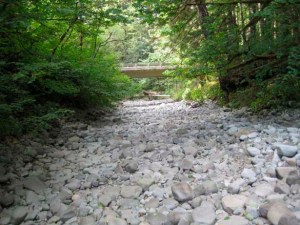 Historic low river levels, record-setting hot and dry weather, and an increased demand for water led Tacoma, Everett, and Seattle to implement the first stage of their water shortage response plans earlier this month. The extraordinary weather drained the North Fork of the Green River (pictured), according to Tacoma Water officials, and May and June were the driest in Green River Watershed history. (PHOTO COURTESY TACOMA WATER)
