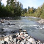 The Puyallup River (left) and the Mowich River (right) confluence in the heart of Vancouver Notch. (PHOTO BY TODD MATTHEWS)
