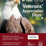 Veterans Day: Tacoma events honor local servicemembers